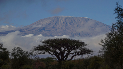 kilimanjaro