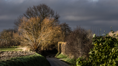 s135-1080-2783-16op9